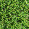 Exquisite Turf Synthetic Turf Deluxe Choice