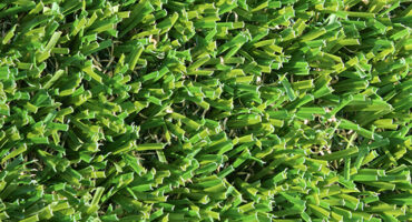 Exquisite Turf Synthetic Turf Deluxe Choice