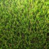 Exquisite Turf Synthetic Turf Exmouth