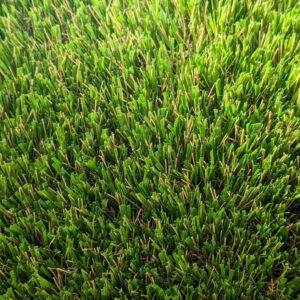 Exquisite Turf Synthetic Turf Exmouth