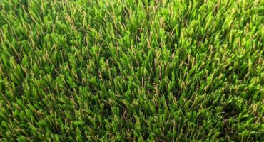 Exquisite Turf Synthetic Turf Exmouth