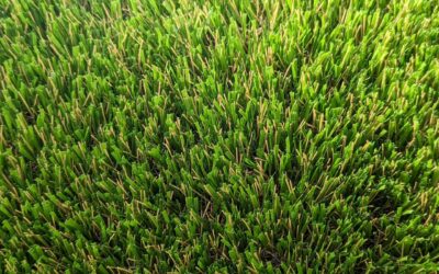 Exquisite Turf Synthetic Turf Exmouth