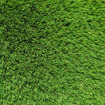 Exquisite Turf Synthetic Turf Iconic Aussie Garden