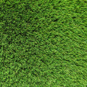 Exquisite Turf Synthetic Turf Iconic Aussie Garden