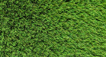 Exquisite Turf Synthetic Turf Iconic Aussie Garden