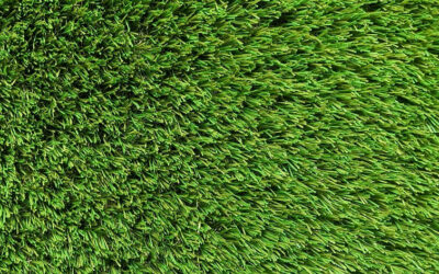 Exquisite Turf Synthetic Turf Iconic Aussie Garden