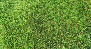 Exquisite Turf Synthetic Turf Kimberly Cool Touch