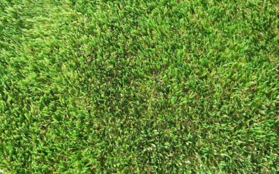 Exquisite Turf Synthetic Turf Kimberley Cool Touch