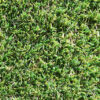 Exquisite Turf Synthetic Turf Summer Presitge