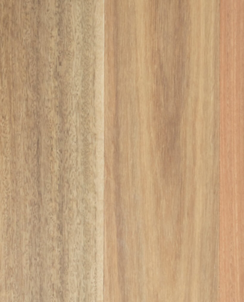 Sunstar Australian Hardwood Naturals Well Built Timber Spotted Gum - Online Flooring Store