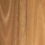 Australis Timber Flooring Spotted Gum