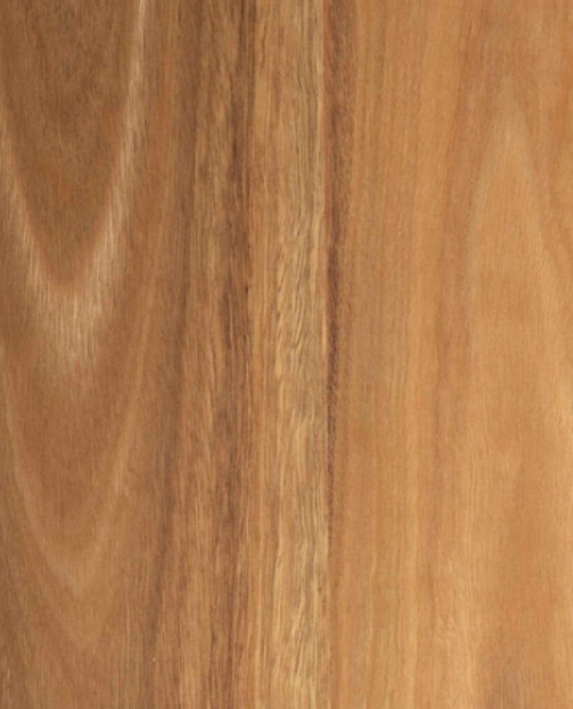 Australis Timber Flooring Spotted Gum