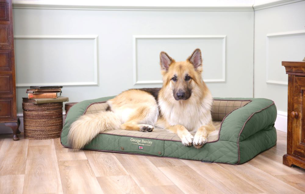 A George Barklay orthopedic dog bed on a pet-friendly floor sold by creatures of comfort.