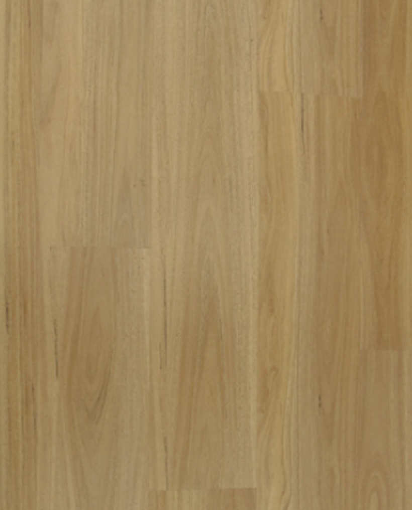 Sunstar Maxi Hybrid Flooring Blackbutt - Online Flooring Store