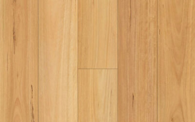 Eclipse Auroborus Hybrid Flooring Royal Blackbutt