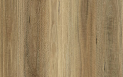 Eclipse Auroborus Hybrid Flooring Spotted Gum