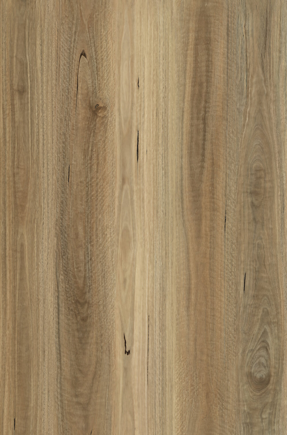 Eclipse Auroborus Hybrid Flooring Spotted Gum - Online Flooring Store