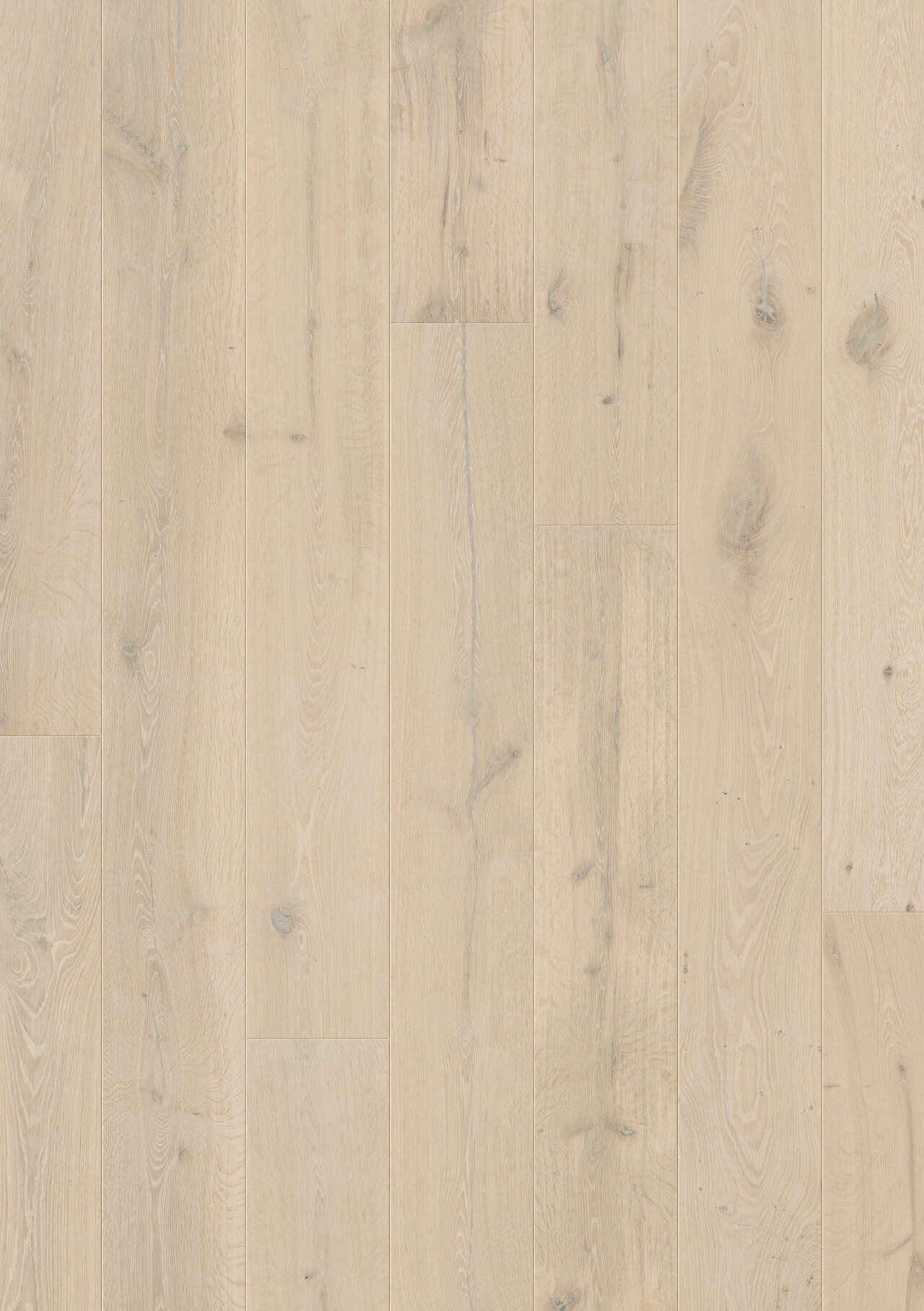 Premium Floors Quick-Step Massimo Engineered Timber Frozen Oak Extra Matt - Online Flooring Store