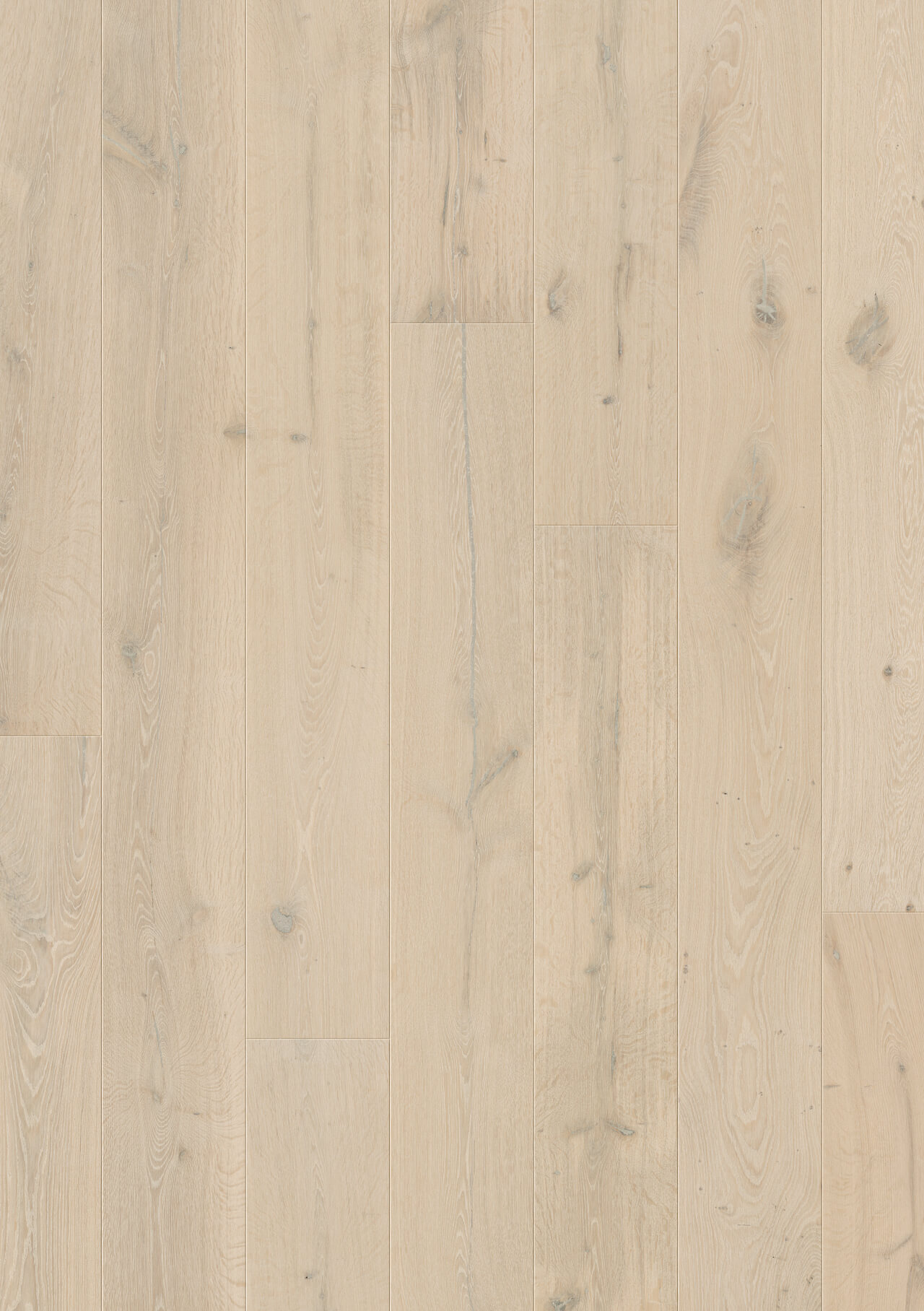 Premium Floors Quick-Step Massimo Engineered Timber Frozen Oak Extra Matt