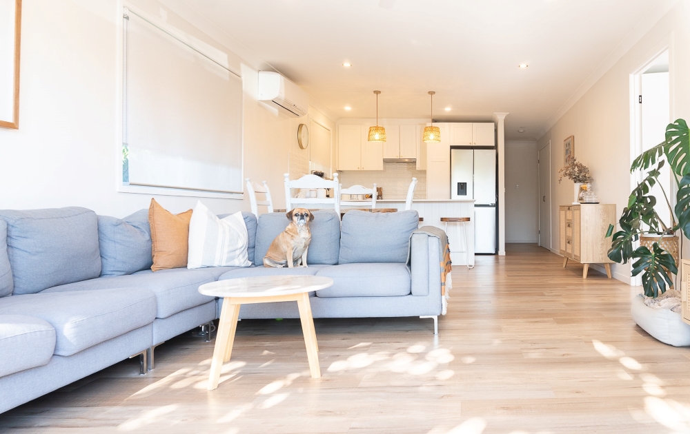 Beautiful living room with laminate flooring.