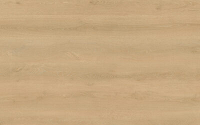 Eclipse Aqua Schild Laminate Flooring Frankfurt