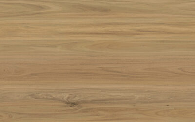 Eclipse Aqua Schild Laminate Flooring Rosenheim