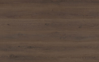 Eclipse Aqua Schild Laminate Flooring Rostock