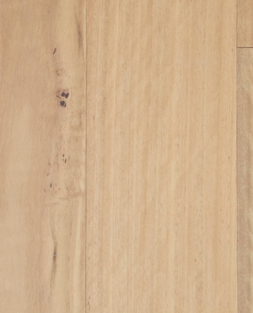 Eclipse Australis Compacto Engineered Timber Flooring Blackbutt - Online Flooring Store