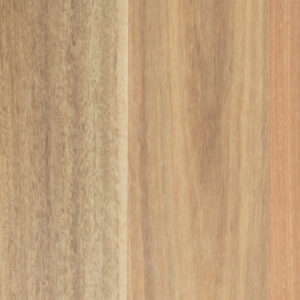 Eclipse Australis Compacto Engineered Timber Flooring Spotted Gum
