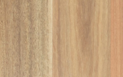 Eclipse Australis Compacto Engineered Timber Flooring Spotted Gum