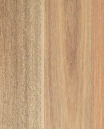 Eclipse Australis Compacto Engineered Timber Flooring Spotted Gum - Online Flooring Store