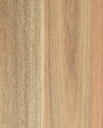 Eclipse Australis Compacto Engineered Timber Flooring Spotted Gum