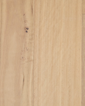 Eclipse Australis Compacto Engineered Timber Flooring Tasmanian Oak - Online Flooring Store