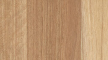 Eclipse Australis Couero Engineered Timber Flooring Blackbutt