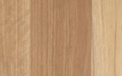 Eclipse Australis Couero Engineered Timber Flooring Blackbutt