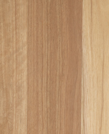 Eclipse Australis Couero Engineered Timber Flooring Blackbutt - Online Flooring Store