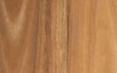 Eclipse Australis Couero Engineered Timber Flooring Spotted Gum