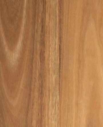 Eclipse Australis Couero Engineered Timber Flooring Spotted Gum - Online Flooring Store