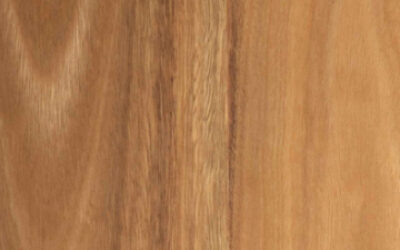 Eclipse Australis Largo Engineered Timber Flooring Spotted Gum