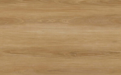 Eclipse Nature’s Best Vinyl Planks Abiete