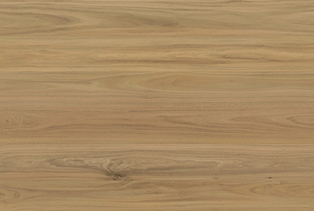 Hybrid Shield Hybrid Flooring Atlantic Blackbutt - Online Flooring Store