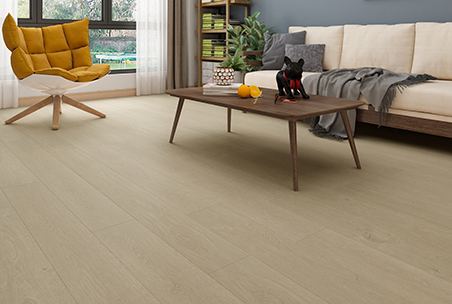 Hybrid Shield Hybrid Flooring Coffee Bean Trivia