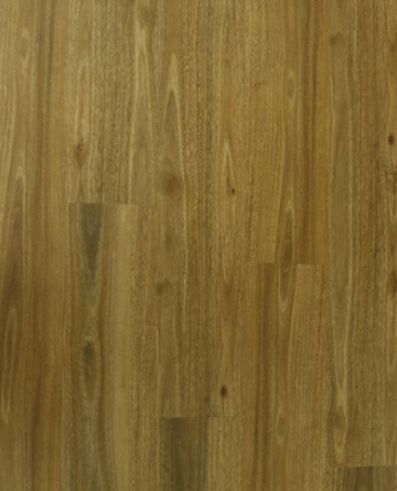 Sunstar Maxi Hybrid Flooring Spotted Gum - Online Flooring Store