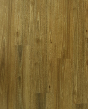 Sunstar Maxi Hybrid Flooring Spotted Gum