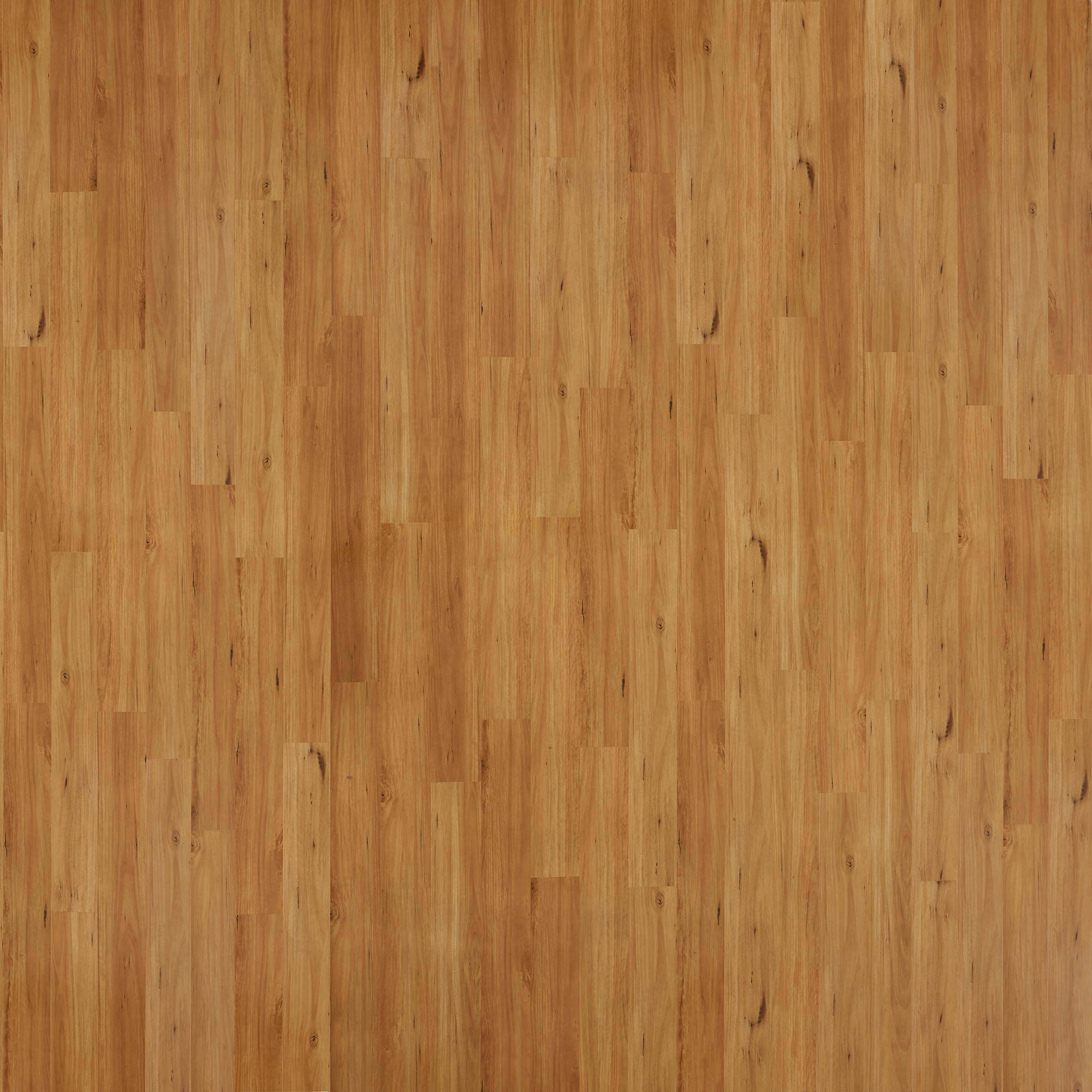Airstep Eucalyptus Steps Gloss Laminate Flooring Blackbutt - Online Flooring Store