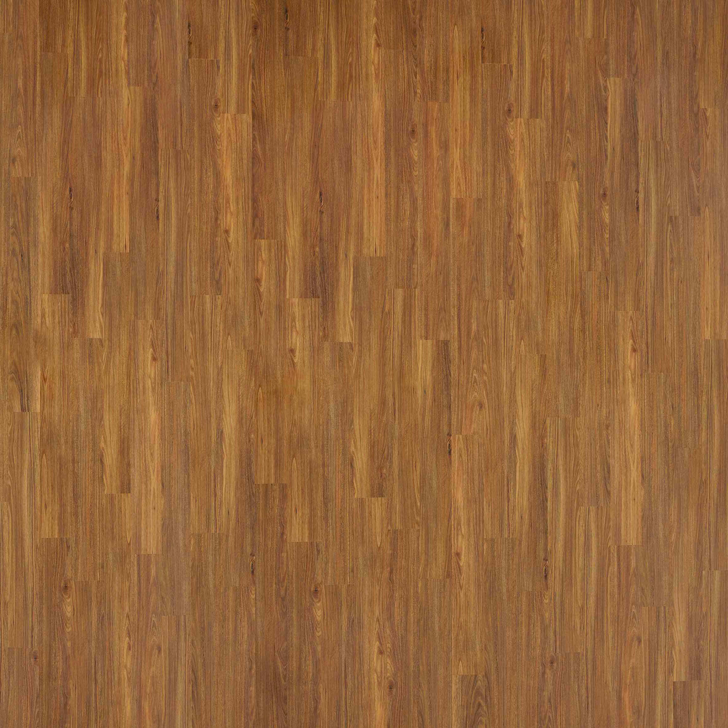 Airstep Eucalyptus Steps Gloss Laminate Flooring Spotted Gum - Online Flooring Store