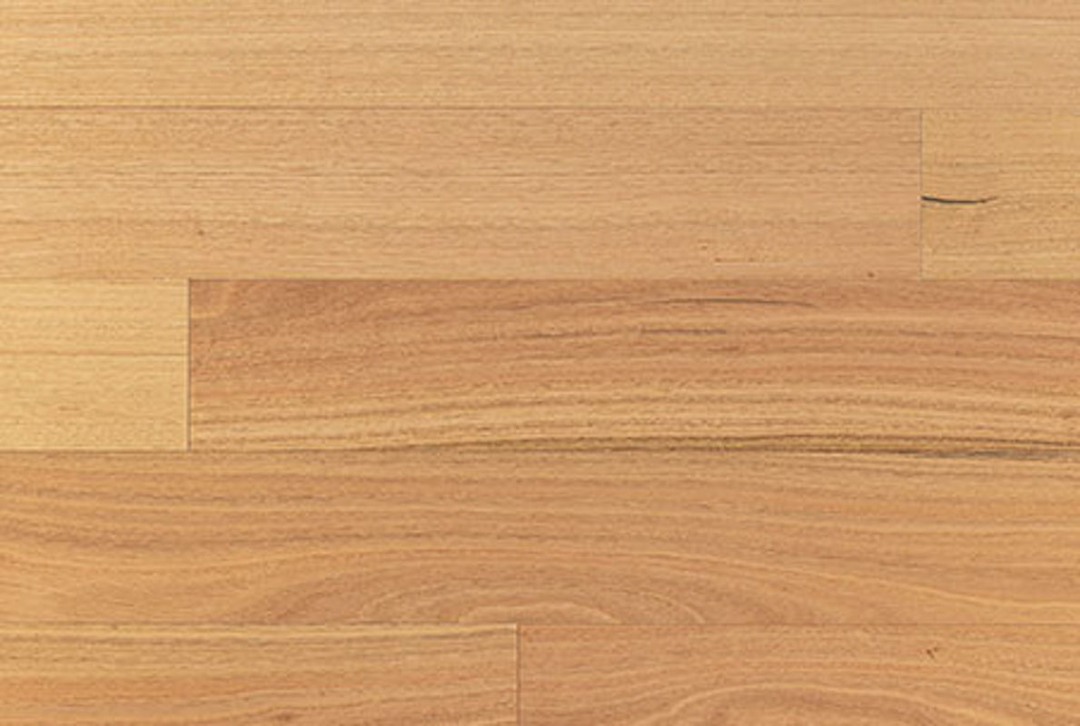 Clever Choice Australian Engineered 180mm Wide Brushed Matt Engineered Timber Blackbutt