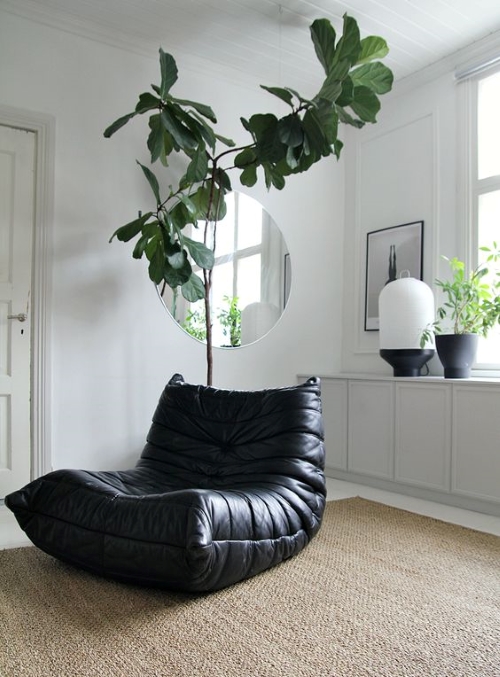 Living room with indoor plants.