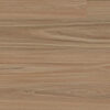 Clever Choice Enchanted Hybrid Hylia Blackbutt