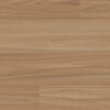 Clever Choice Enchanted Hybrid Lorien Blackbutt